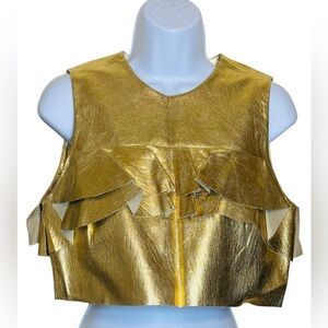 ZARA Ruffled Crop Top Gold Sleeveless Faux Leather Going Out Cocktail Party NWOT
